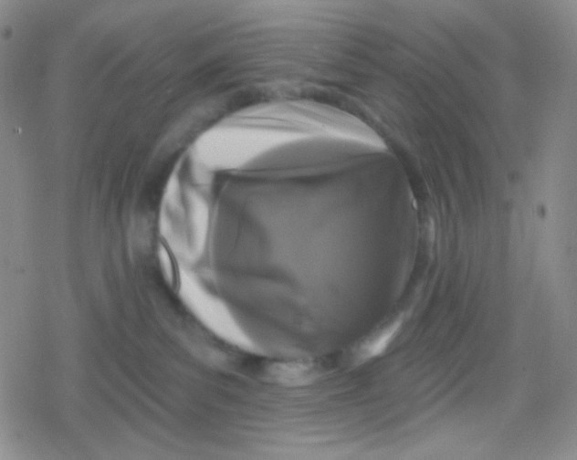 X0000079330139200612082008