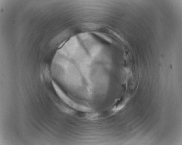 X0000079330143200612082008
