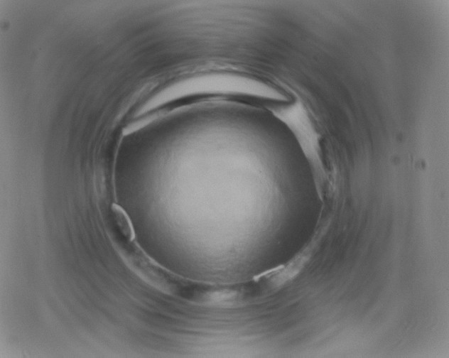 X0000079330158200612082008