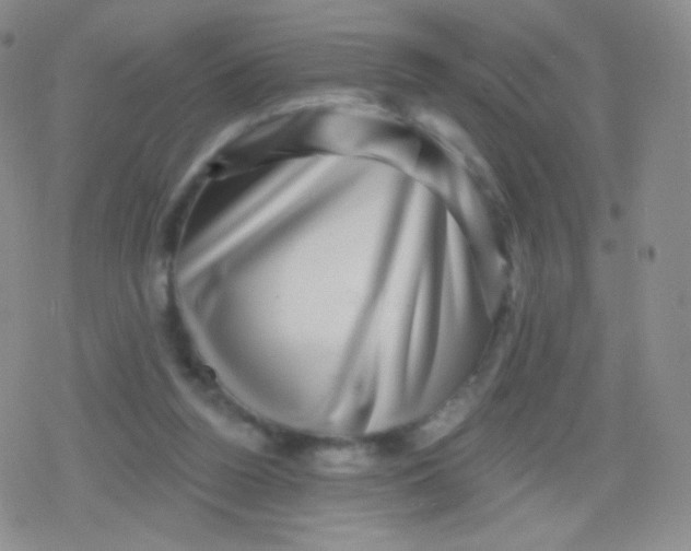 X0000079330160200612082008