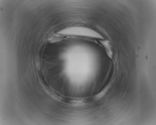 X0000079330170200612082008