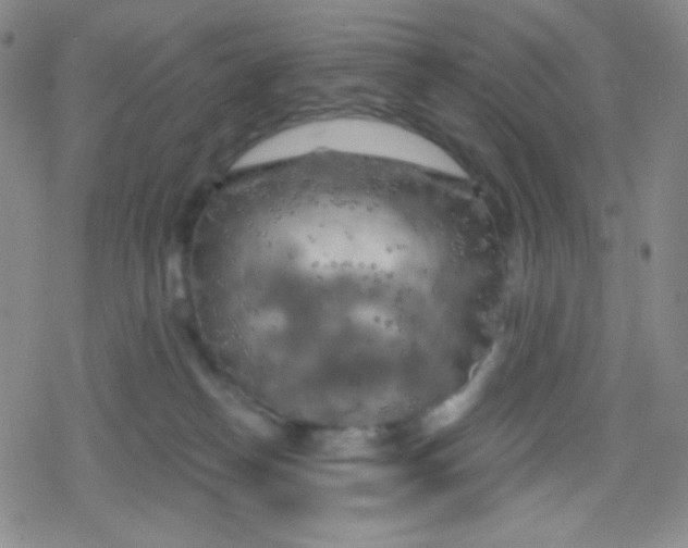 X0000079330182200612082008