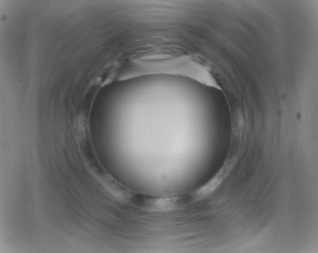 X0000079330184200612082008
