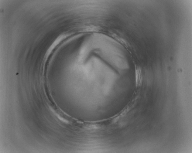 X0000079330195200612082007