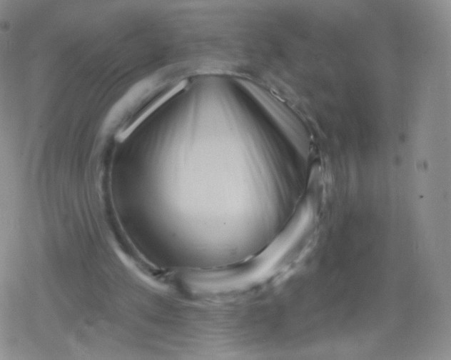 X0000079330197200612082007