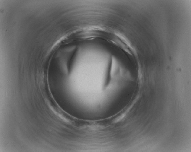 X0000079330201200612082007