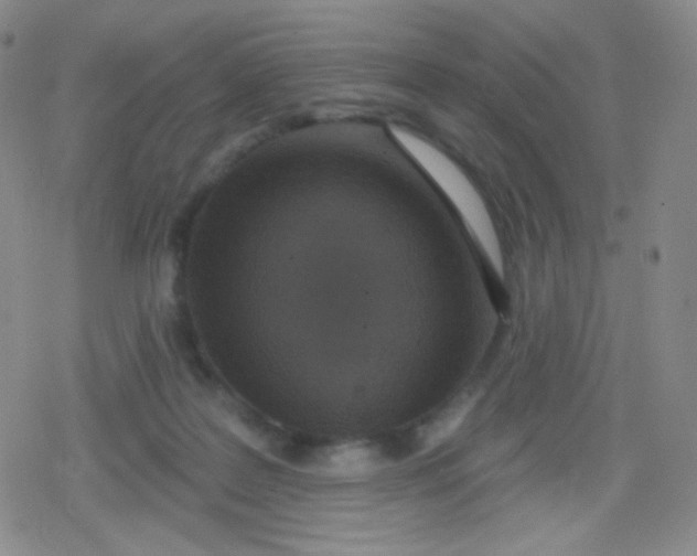 X0000079330219200612082007