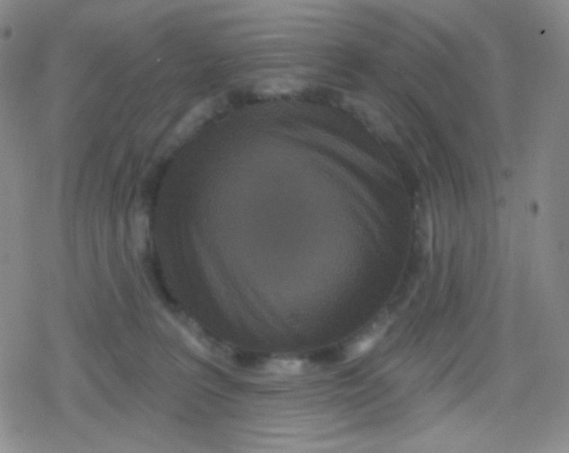X0000079330227200612082007