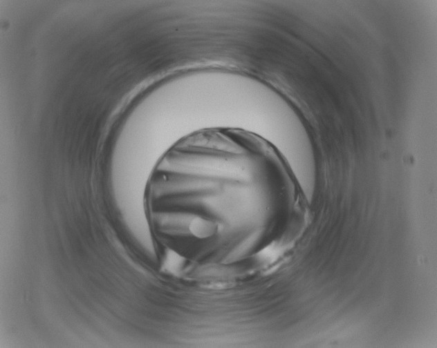 X0000079330252200612082006