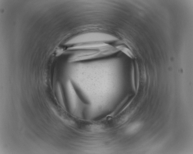 X0000079330255200612082006