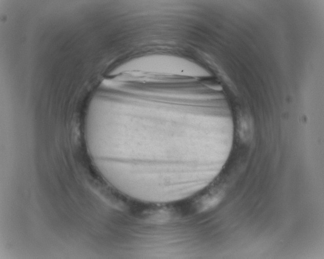 X0000079330259200612082006