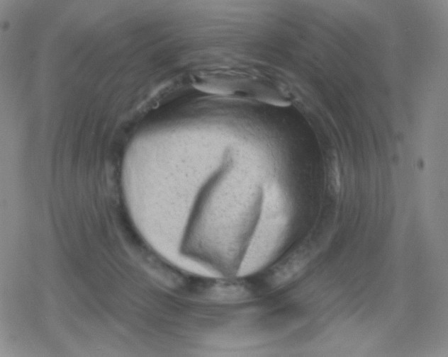 X0000079330270200612082006