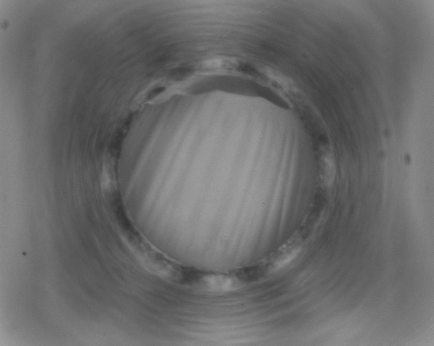 X0000079330272200612082006