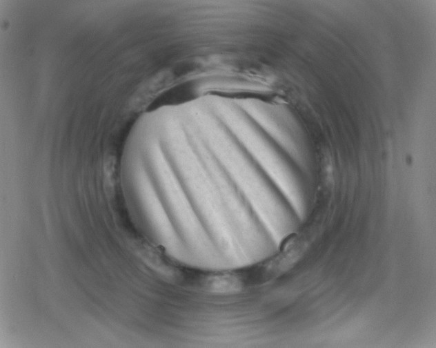 X0000079330275200612082007