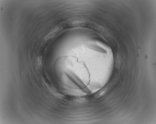 X0000079330278200612082007