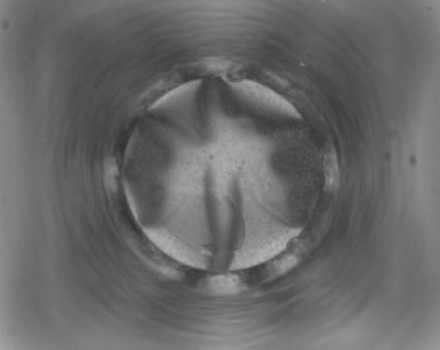 X0000079330279200612082007