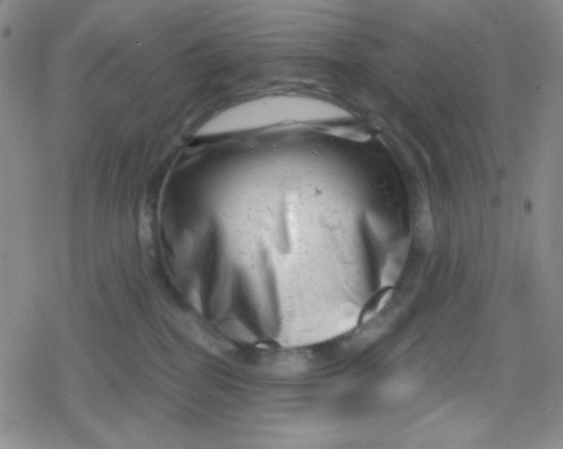 X0000079330282200612082007