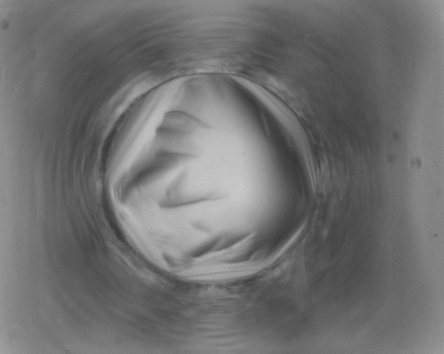 X0000079330290200612082006