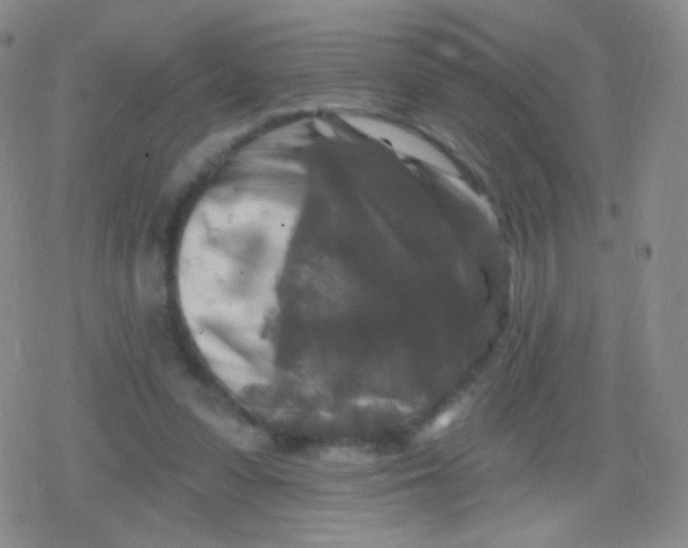 X0000079330303200612082006
