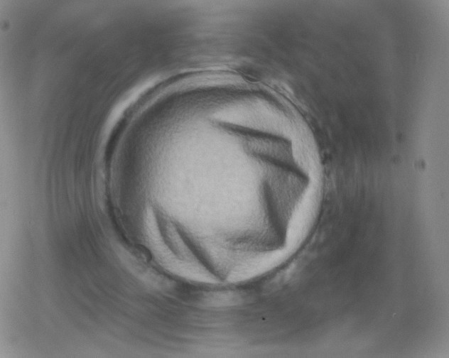 X0000079330342200612082004