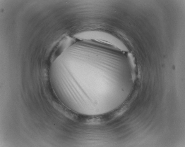 X0000079330362200612082005