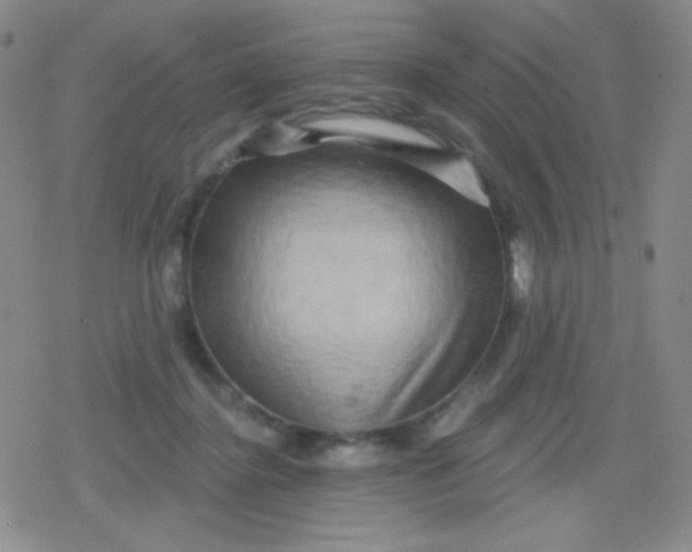 X0000079330364200612082005