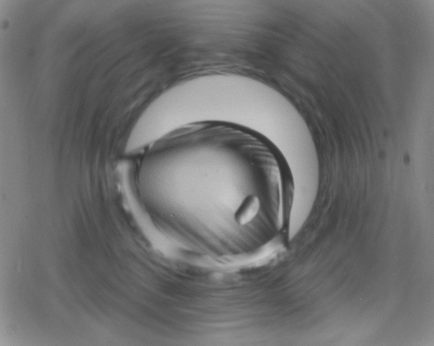 X0000079330376200612082005