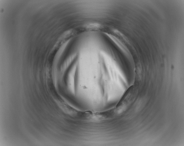 X0000079330379200612082005