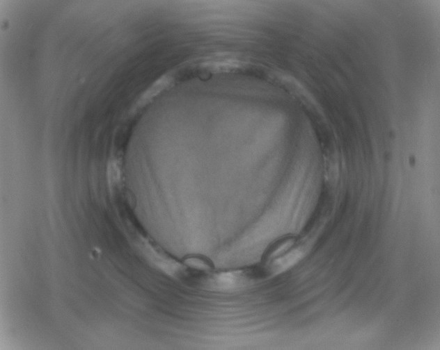 X0000079330382200612082005