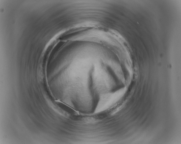 X0000079330392200612082004