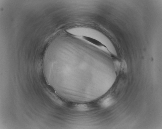 X0000079330409200612082004
