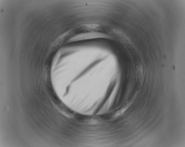 X0000079330412200612082004