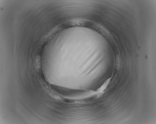 X0000079330413200612082004