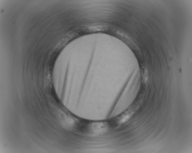 X0000079330418200612082004