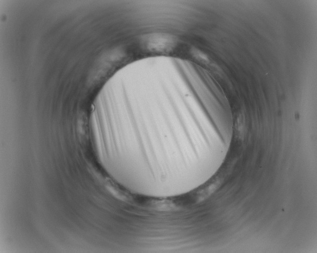X0000079330424200612082004