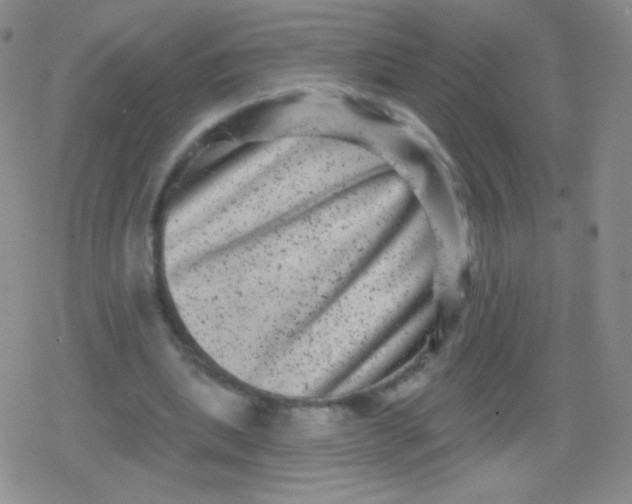 X0000079330439200612082003