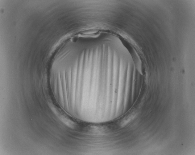 X0000079330442200612082003