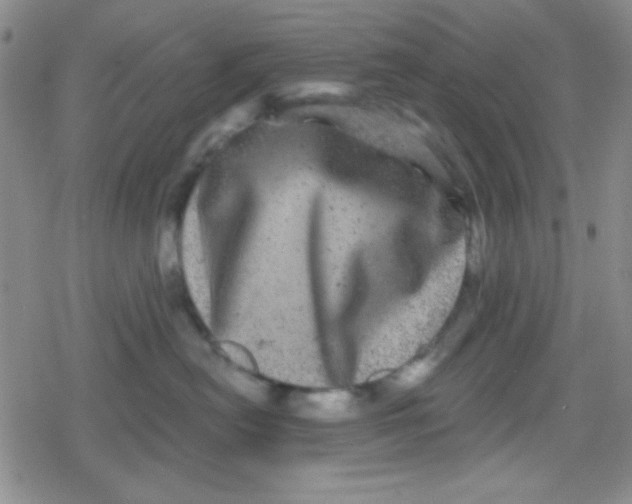 X0000079330478200612082004