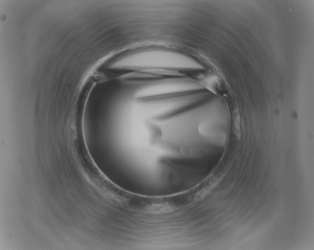 X0000079330536200612082001