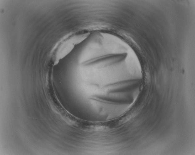 X0000079330539200612082001