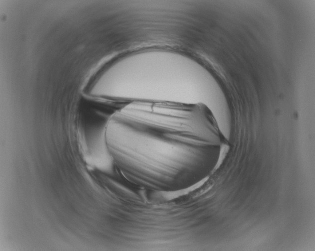 X0000079330540200612082001