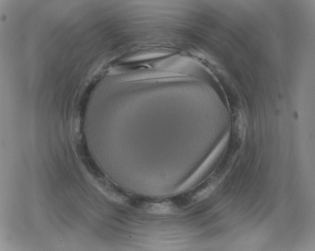 X0000079330548200612082002