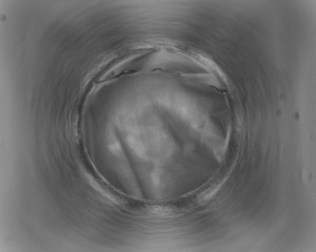 X0000079330585200612082001
