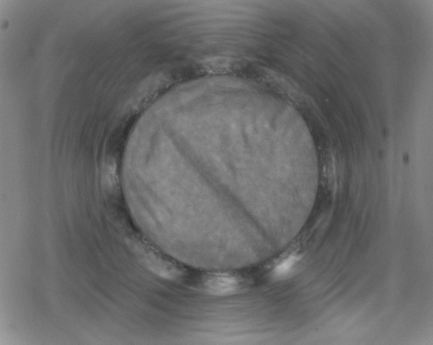 X0000079330610200612082001