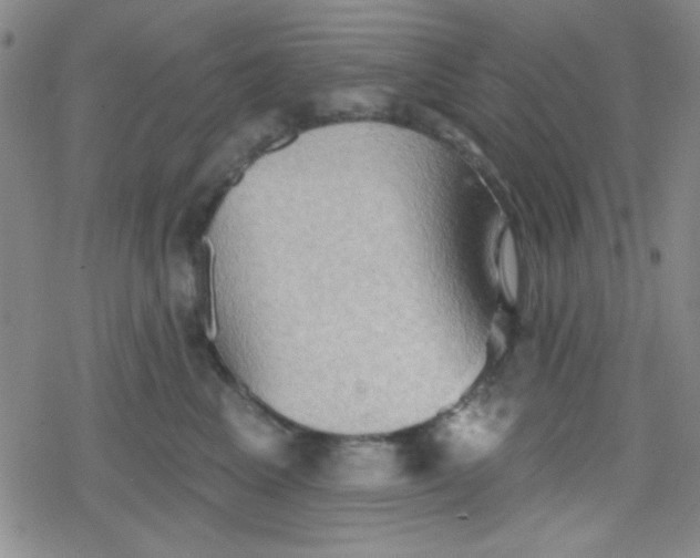 X0000079330617200612082001