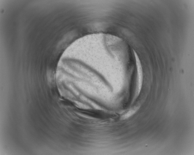 X0000079330624200612082000