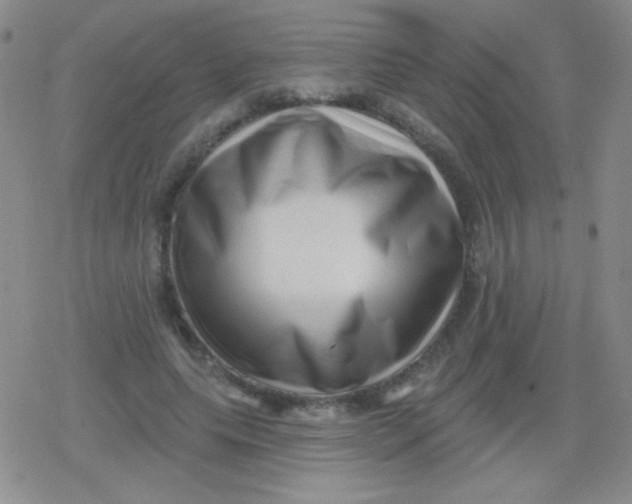 X0000079330639200612082000
