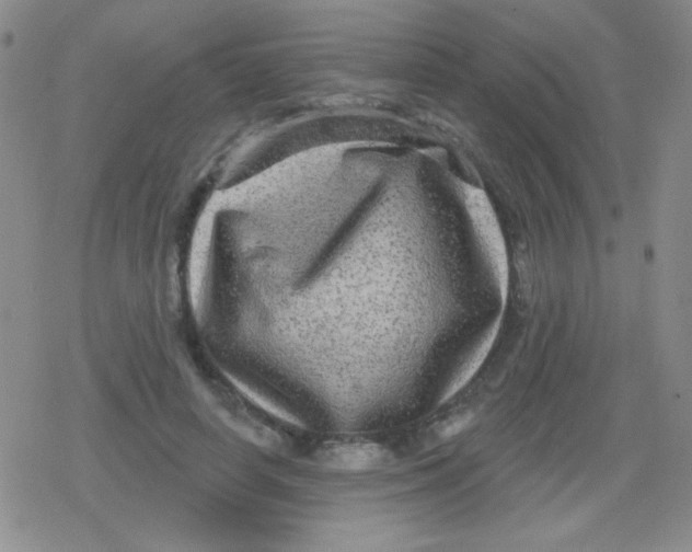 X0000079330642200612082000