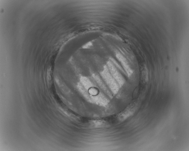 X0000079330654200612082000