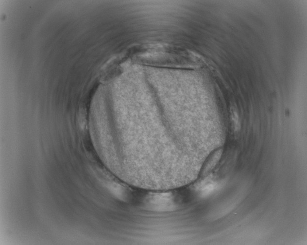 X0000079330665200612082000